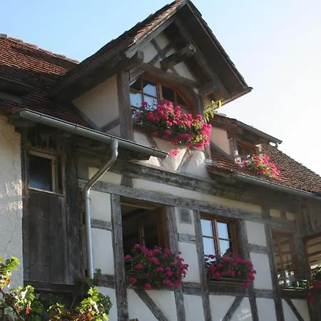 Gaestehaus Theresia Garni *